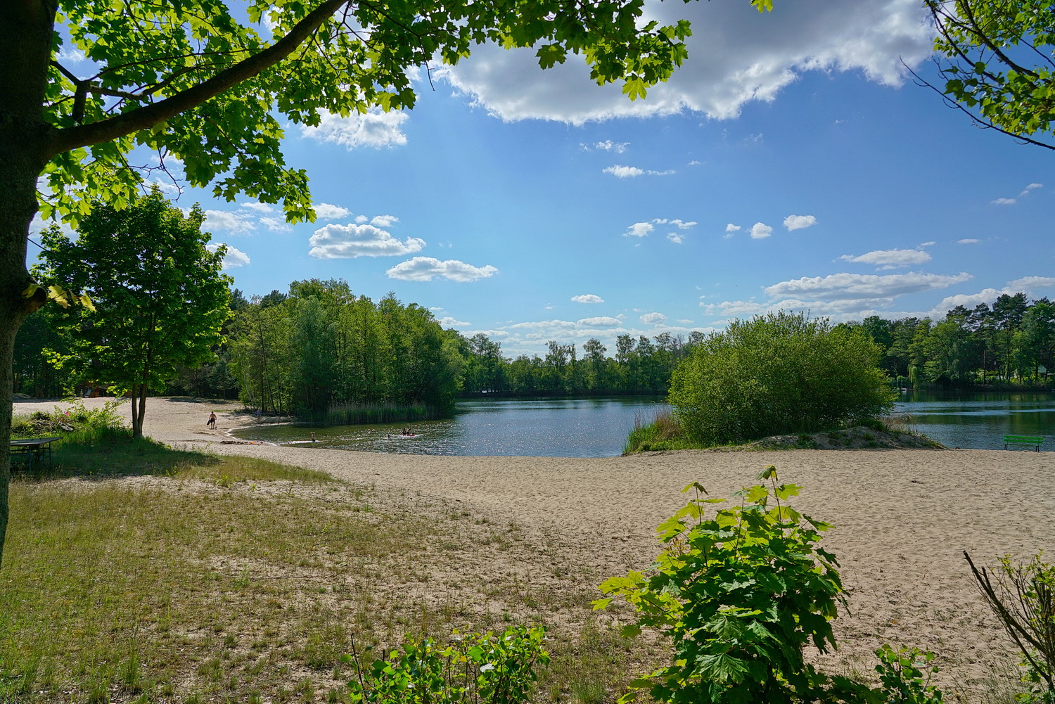 Naturcamping Kiessee — photo 5